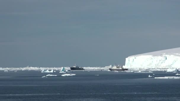 有雪山 冰川和冰山的南极景观 南极洲结冰海岸的景观 美丽的蓝色冰山 镜像反射漂浮在海洋中 严酷大陆上的冰川 — 图库视频影像