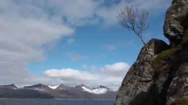Norveç 'e git. Dağlar, deniz ve doğa. Deniz kenarındaki ekolojik temiz doğanın panoramik görüntüsü. Özgürlük için. Temiz bir çevre. Karla kaplı dağlar.