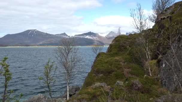 Norveç Git Dağlar Deniz Doğa Deniz Kenarındaki Ekolojik Temiz Doğanın — Stok video