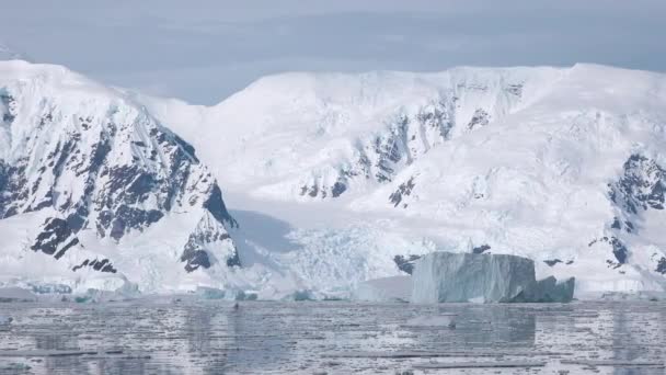 Ανταρκτική Παγωμένο Νερό Στον Νότιο Πόλο Οικολογία Του Πλανήτη Παγόβουνα — Αρχείο Βίντεο