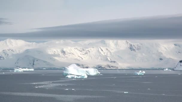 Ανταρκτική Παγωμένο Νερό Στον Νότιο Πόλο Οικολογία Του Πλανήτη Παγόβουνα — Αρχείο Βίντεο