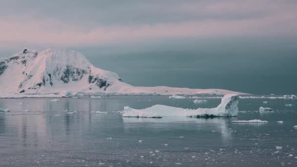 Antartide Acqua Oceanica Congelata Sul Polo Sud Ecologia Del Pianeta — Video Stock