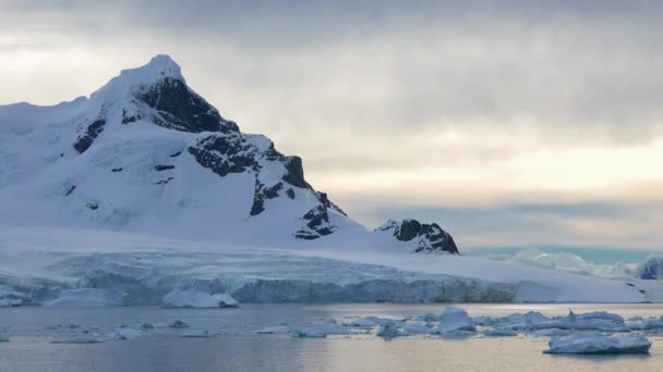 Antártida Agua Congelada Polo Sur Ecología Del Planeta Los Icebergs — Vídeo de stock
