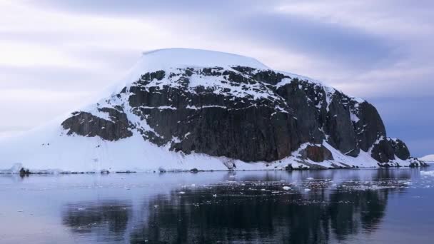 Antarctica Frozen Ocean Water South Pole Ecology Planet Icebergs Face — Stock Video