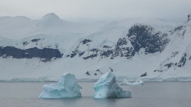Antártica Água Oceano Congelada Pólo Sul Ecologia Planeta Icebergs Face — Vídeo de Stock