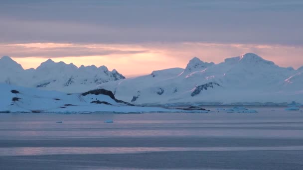 Antártida Agua Congelada Polo Sur Ecología Del Planeta Los Icebergs — Vídeos de Stock