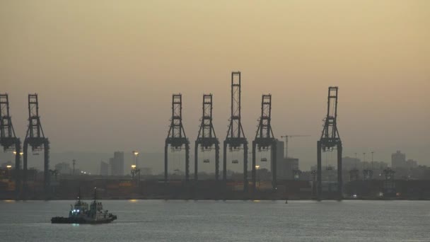 Cargo Sea Port Cranes Cargo Vessel Shipping Industry Global Import — Vídeos de Stock