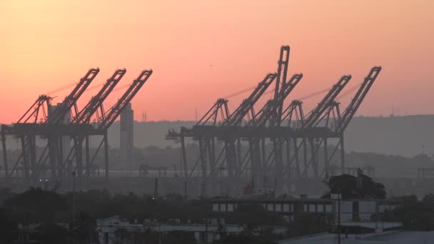 Cargo Sea Port Cranes Cargo Vessel Shipping Industry Global Import — Stockvideo