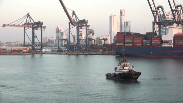 Cargo Sea Port Cranes Cargo Vessel Shipping Industry Global Import — Vídeo de stock
