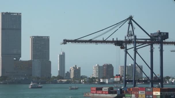 Cargo Sea Port Cranes Cargo Vessel Shipping Industry Global Import — Vídeos de Stock