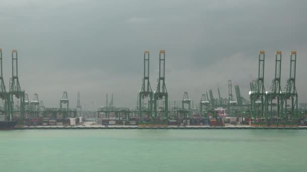 Cargo Sea Port Cranes Cargo Vessel Shipping Industry Global Import — ストック動画