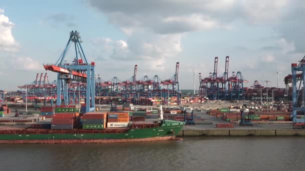 Hamburg Germany June 2023 Gantry Cranes Seaport Hamburg Huge Harbour — Stok Video