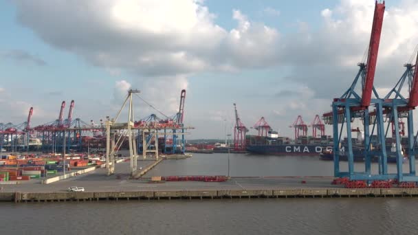 Hamburg Germany June 2023 Gantry Cranes Seaport Hamburg Huge Harbour – Stock-video