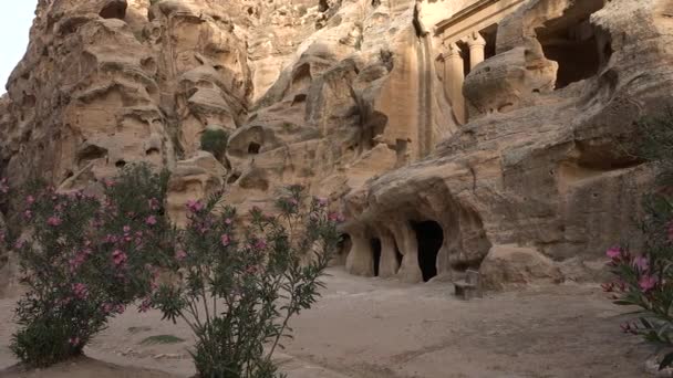 Petra Jordania 2022 Patrimonio Humanidad Por Unesco Famosa Por Arquitectura — Vídeo de stock