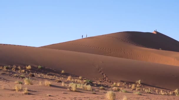 Randonneurs Dans Les Montagnes Dunes Dans Désert Namibie Escalade Silhouette — Video