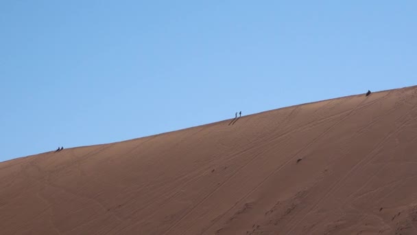 Caminantes Las Montañas Dunas Desierto Namibia Montañismo Silueta Puesta Sol — Vídeos de Stock