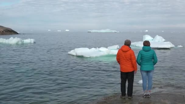 Путешественники Наблюдают Ледники Айсберги Люди Смотрят Ледник Мужчина Женщина Пешие — стоковое видео