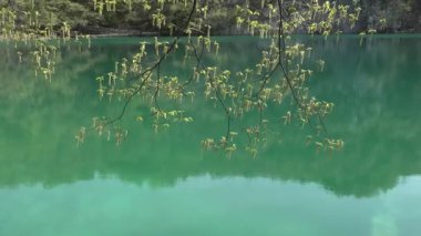 Plitvice Gölleri, Hırvatistan. Yedek Plitvice Gölleri. Turkuaz mavi ve yeşil suyu olan renkli bir manzara. Şelalelerle birbirine bağlı 16 gölden oluşan bir şelale.
