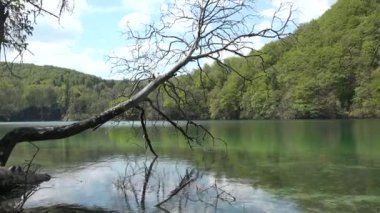 Plitvice Gölleri, Hırvatistan. Yedek Plitvice Gölleri. Turkuaz mavi ve yeşil suyu olan renkli bir manzara. Şelalelerle birbirine bağlı 16 gölden oluşan bir şelale.