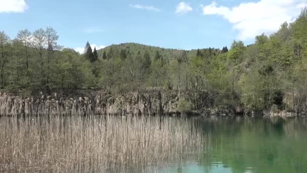 Plitvicesjöarna Kroatien Reservera Plitvicesjöarna Färgglada Landskap Med Turkos Blått Och — Stockvideo