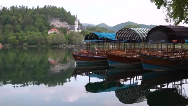 Slovenya Bled 2022 Bled Gölü Panoraması Güzel Slovenya Git Kanlı — Stok video
