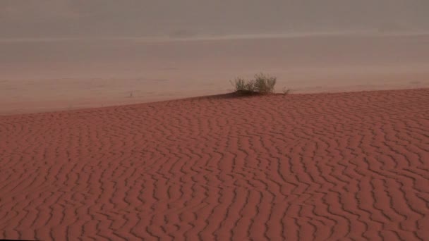 Pouštní Písečná Bouře Písek Vlnící Větru Dunách Poušti Poušť Wadi — Stock video