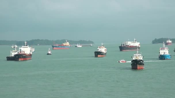 Грузовые Корабли Сингапуре Корабли Стоят Якоре Порту Сингапура Корабли Наготове — стоковое видео