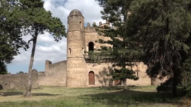 Ruínas Pedra Castelo Medieval Fortaleza Histórica Gondar Património Cultural Monumento — Vídeo de Stock