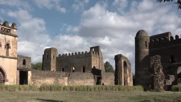 Каменные Руины Средневекового Замка Историческая Крепость Гондаре Культурное Наследие Знаменитый — стоковое видео