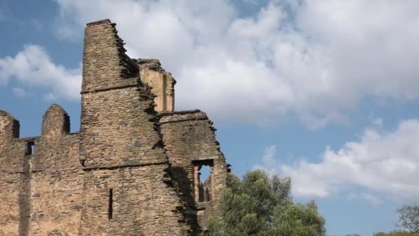 Középkori Vár Kőromjai Történelmi Erőd Gondar Kulturális Örökség Híres Műemlék — Stock videók