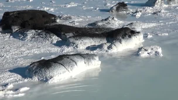 ブルーラグーン 地熱温泉について ブラックグラウンドと対照的なブルーウォーター オープンな天然プールの上を飛ぶ 高品質で アイスランド — ストック動画