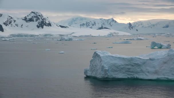 アイスバーグの崩壊 南極の氷山の静かな美しさ 氷山を漂流する 地球温暖化 生態学的状況 氷の融解 南極海の冷たい砂漠の性質 美しい風景 — ストック動画