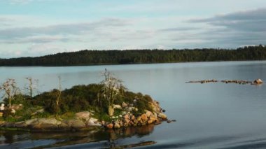 Stockholm Takımadaları. İsveç takımadaları yazın güneşli bir günde. Sahildeki yeşil orman ağaçları. İsveç doğası. Stockholm takımadalarındaki adadaki orman, Baltık Denizi