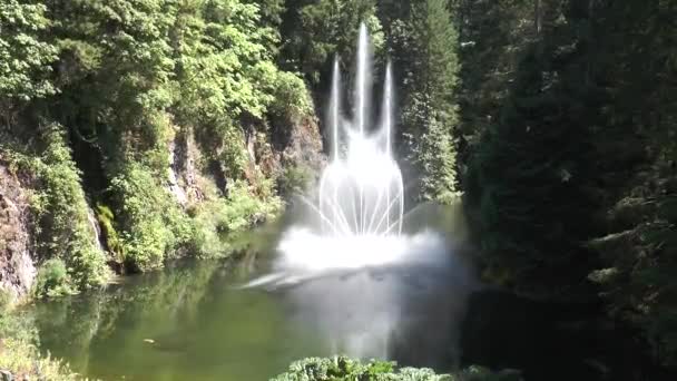 Tanzender Brunnen Schöne Brunnen Butchart Garden Kanada Die Berühmten Gärten — Stockvideo