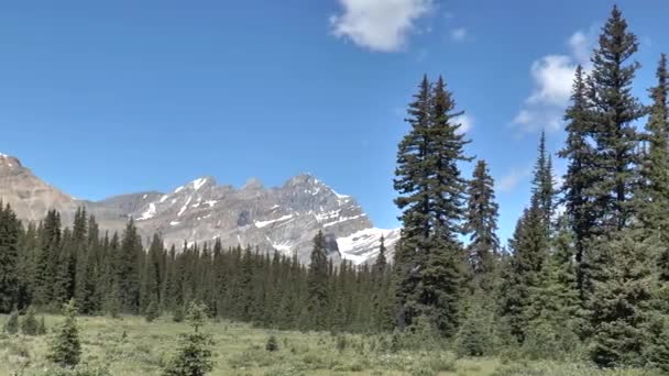 カナダの自然 氷河がある風景 カナダのロッキー山脈の氷河湖 活気に満ちた曇りの夏の日 — ストック動画