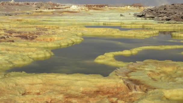 Краса Природі Кисле Озеро Кратері Вулкана Даллол Ефіопській Пустелі Подорожуйте — стокове відео