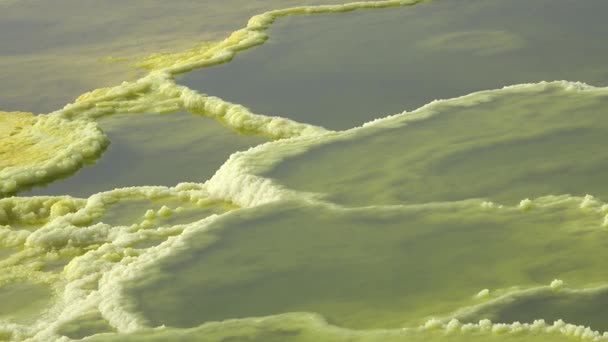 Bellezza Nella Natura Lago Acido Nel Cratere Del Vulcano Dallol — Video Stock
