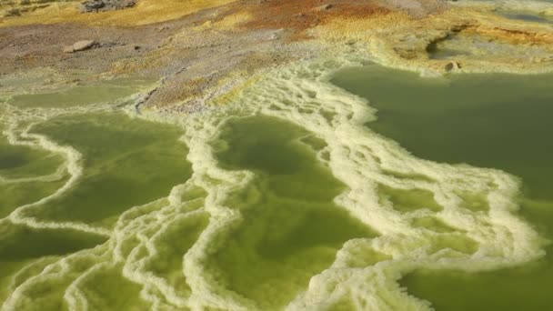 Beauty Nature Acid Lake Crater Dallol Volcano Ethiopian Desert Travel — Stock Video
