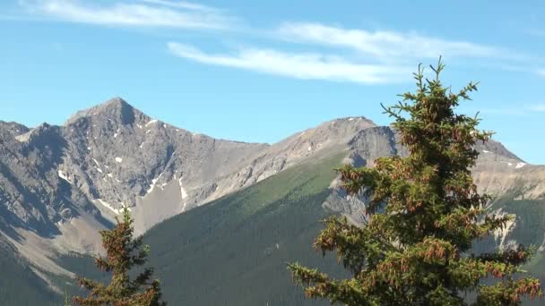 Natureza Paisagens Banff Park Montanhas Florestas Rios Viagem Para Canadá — Vídeo de Stock