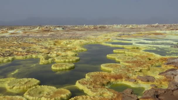 Volkanik Krater Gölü Dallol Jeotermal Alan Asit Havuzunda Kristal Sülfür — Stok video