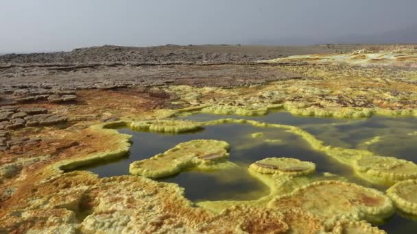 Lago Del Cráter Volcánico Zona Geotérmica Dallol Sulfuros Cristalinos Una — Vídeos de Stock