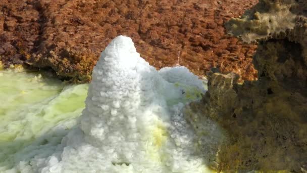 Vulkanischer Kratersee Dallol Geothermal Area Kristalline Sulfide Einem Säurepool Geothermalfeld — Stockvideo