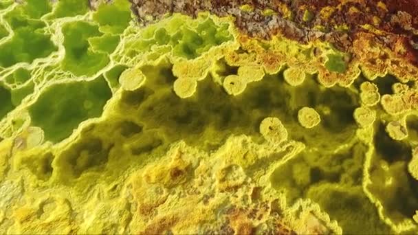 火山クレーター湖 ドール地熱エリア 酸プール内の結晶硫化物 ダナキル鬱の地熱フィールド エチオピア アフリカの現実的な風景における温泉と酸鉱物 — ストック動画
