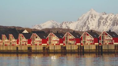 Sudaki yansıma. Karlı dağlar, balıkçı köyü. Okyanustaki parlak kırmızı evler. Norveç 'teki Lofoten adaları. Tipik kırmızı kulübeleriyle popüler bir turizm merkezi. Norveç rorbu 'su.