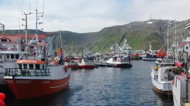 겨울에 노르웨이 바다에서 항구와 바다에 전통적인 보트와 로포텐 햇빛의 노르웨이 — 비디오