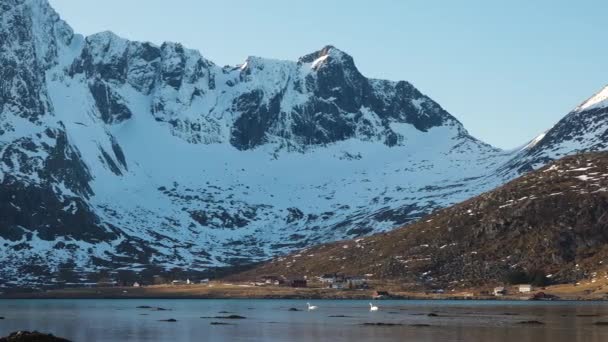 Paisaje Invernal Montañas Cubiertas Nieve Una Bahía Mar Alrededor Hermosa — Vídeo de stock