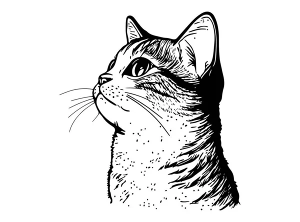 Fluffy Kattunge Söt Katt Hand Dras Linje Stil Vektor Illustration — Stock vektor