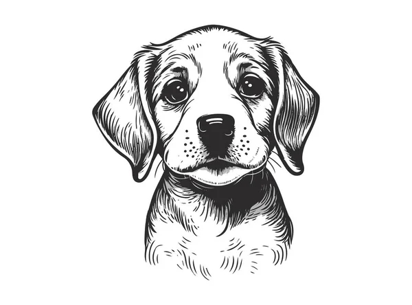 Pies Szczeniak Ręcznie Rysowane Linii Styl Wektor Ilustracja Izolowane Białym — Wektor stockowy