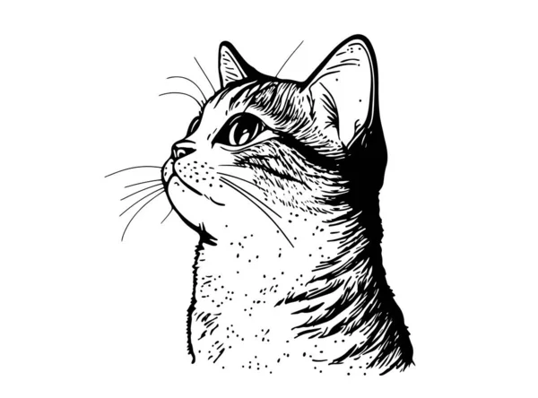 Χνουδωτό Γατάκι Χαριτωμένο Χέρι Γάτα Ζωγραφισμένα Γραμμή Στυλ Διανυσματική Απεικόνιση — Διανυσματικό Αρχείο