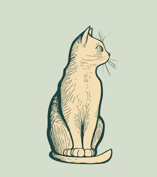 Gatinho Fofo Bonito Gato Mão Desenhada Linha Estilo Vetor Ilustração — Vetor de Stock